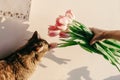 Stylish hipster girl and her cat smelling tulips in morning in r Royalty Free Stock Photo