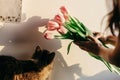 Stylish hipster girl playing with her cute cat with tulips in mo Royalty Free Stock Photo