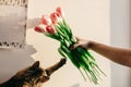 Stylish hipster girl playing with her cute cat with tulips in mo Royalty Free Stock Photo