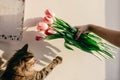 Stylish hipster girl playing with her cute cat with tulips in mo Royalty Free Stock Photo