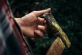 stylish hipster lumberjack with ax in the sunny forest in mountains Royalty Free Stock Photo