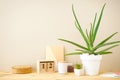 Stylish home interior mockup photo frame. Aloe vera plant and household items, space for text Royalty Free Stock Photo