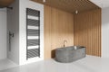 Stylish hotel bathroom interior with bathtub, shower and rail