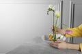 Stylish ikebana as house decor. Woman creating floral composition with fresh flowers at grey table near white wall, closeup and Royalty Free Stock Photo