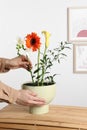 Stylish ikebana as house decor. Woman creating floral composition with fresh flowers at wooden table near white wall, closeup