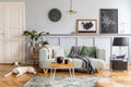 Stylish interior design of living room with modern mint sofa, furniture, plant, mock up poster and dog lying on the floor. Royalty Free Stock Photo