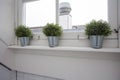 The stylish interior of home garden with different ceramic and concrete pots on the window sill.