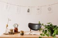 Stylish interior of home office space with wooden desk, forest accessories, avocado plant, bamboo shelf, plants.