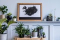 Stylish interior of living room with mock up poster map, a lot of beautiful plants, cacti , succulents and personal accessoreis. Royalty Free Stock Photo