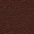 Stylish lackered leather background in brown tone.