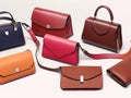 Stylish leather purses and bags on a white background.