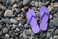 Stylish lilac flip lops on pebble beach, flat lay. Space for text