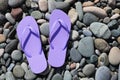 Stylish lilac flip lops on pebble beach, flat lay. Space for text