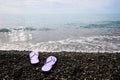 Stylish lilac flip lops on pebble beach near sea. Space for text