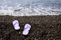 Stylish lilac flip lops on pebble beach near sea. Space for text