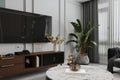 Stylish living room interior with A beautiful houseplant and some dried flowers