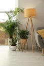 Stylish living room interior with beautiful houseplants near window Royalty Free Stock Photo