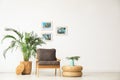 Stylish living room interior with wooden armchair and plants near white wall Royalty Free Stock Photo