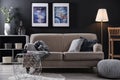 Stylish living room with modern furniture and stylish decor. Idea for Royalty Free Stock Photo