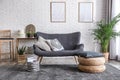 Stylish living room with modern furniture and stylish decor. Idea for interior Royalty Free Stock Photo