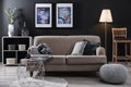 Stylish living room with modern furniture and stylish decor Royalty Free Stock Photo