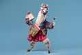 stylish llama with books in a backpack on a blue background, Generative AI