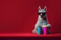 stylish llama hipster with popcorn in cinema, Generative AI