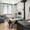 Stylish loft apartment with modern furniture