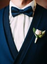 Stylish man in dark blue three piece suit Royalty Free Stock Photo