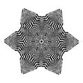 Stylish Mandala with Zebra Pattern. Vector Royalty Free Stock Photo