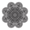 Stylish Mandala with Zebra Pattern. Vector Royalty Free Stock Photo