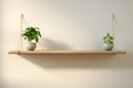 Enchanting Green Haven: A Stylish Martha Dr Mundo Bulma Jr Hanging Shelf with Plant Design