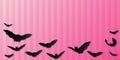 Stylish, minimal pastel pink Halloween banner with bats - papercut, cutout