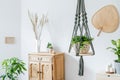 Macrame plant hanger. Concept of bright and cosy home interior.