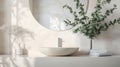 a stylish mirror, eucalyptus branches, and a vessel sink in a contemporary bathroom, highlighting the harmony between Royalty Free Stock Photo