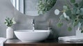 a stylish mirror, eucalyptus branches, and a vessel sink in a contemporary bathroom, highlighting the harmony between Royalty Free Stock Photo