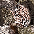 Stylish Mixed animal skin,tiger,zebra,leopard,snake, background.