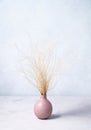 Stylish modern bouquet of dried flowers of pampas grass in a pink vase in Scandinavian style with shadow. Art deco, boho gift for Royalty Free Stock Photo