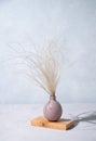 Stylish modern bouquet of dried flowers of pampas grass in a pink vase on wooden stand in Scandinavian style with shadow. Art deco Royalty Free Stock Photo