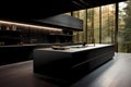 Stylish modern kitchen with black facades