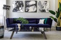 Stylish and modern living room interior with blue velvet sofa, mock up paintings, design black lamp, plant, decoration. Royalty Free Stock Photo