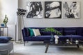 Stylish and modern living room interior with blue velvet sofa, mock up paintings, design furniture, plant, table, decoration.