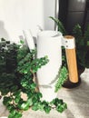 Stylish modern white watering can near green plants in sunny room. Metal funnel with fern and ivy leaves. Gardening concept