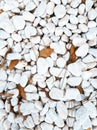 Stylish nature wallpaper. White sea stones background Royalty Free Stock Photo