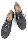 Stylish pair of black leather shoes