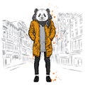 Stylish panda in a jacket and jeans. Fashion & Style. Royalty Free Stock Photo