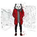 Stylish panda in a jacket and jeans. Vector illustration for greeting card, poster, or print on clothes. Fashion & Style. Royalty Free Stock Photo