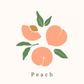 Stylish Peach vector design. Contemporary art print. Royalty Free Stock Photo