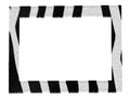 Stylish picture zebra pattern frame isolated Royalty Free Stock Photo