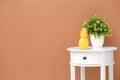 Stylish pineapple candle and houseplan Royalty Free Stock Photo